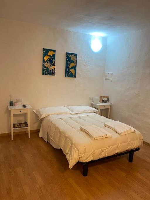 Gianfranco - City Center Apt Firenze Esterno foto