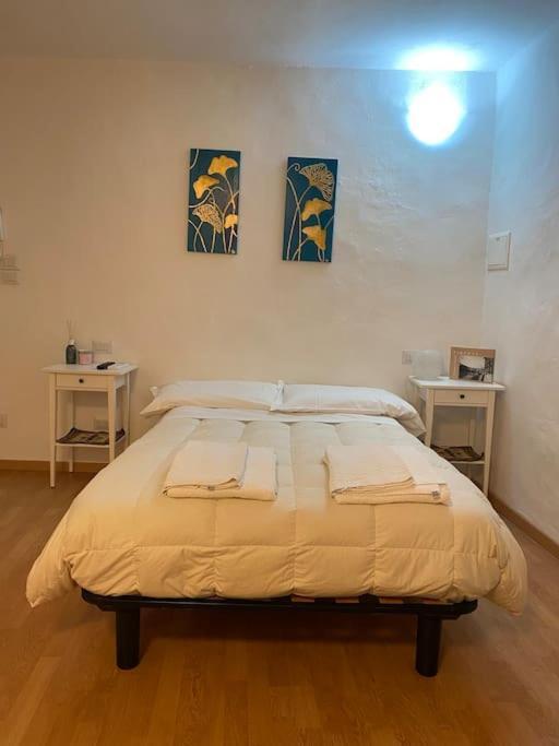 Gianfranco - City Center Apt Firenze Esterno foto