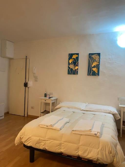 Gianfranco - City Center Apt Firenze Esterno foto