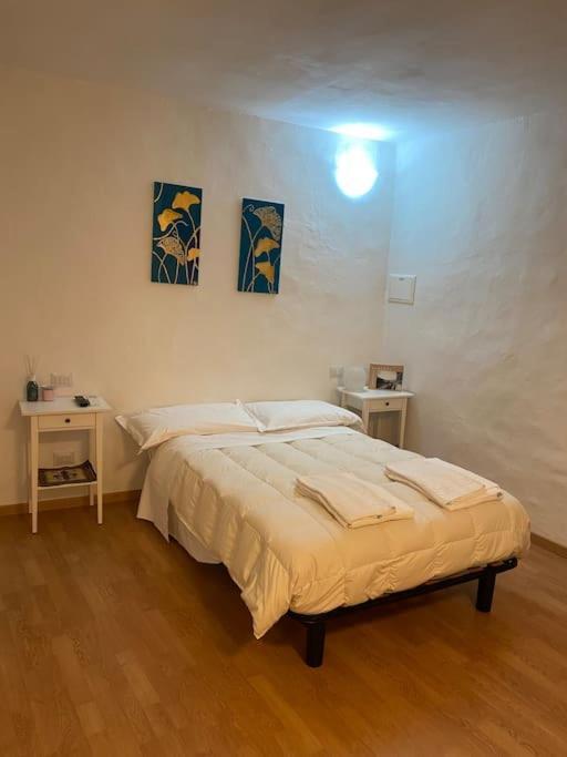 Gianfranco - City Center Apt Firenze Esterno foto