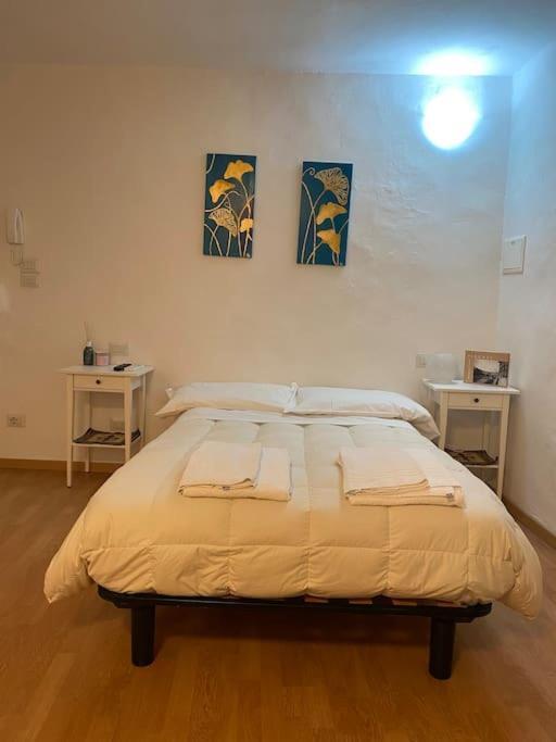 Gianfranco - City Center Apt Firenze Esterno foto